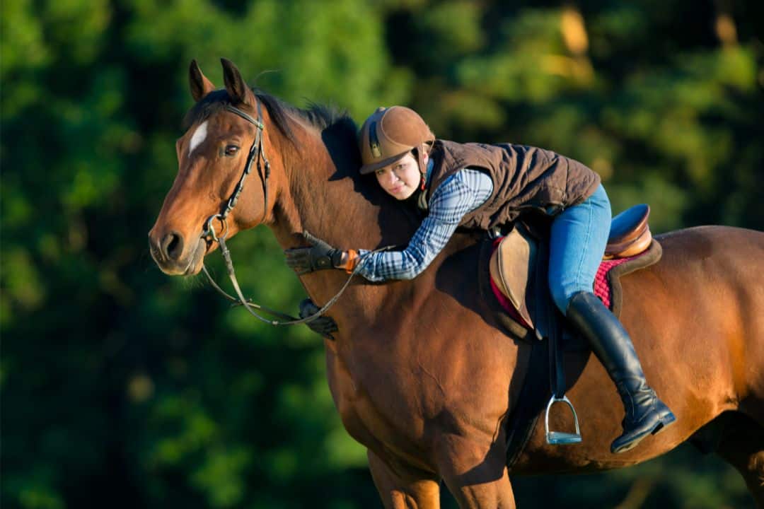 Horse Riding Classes For Children