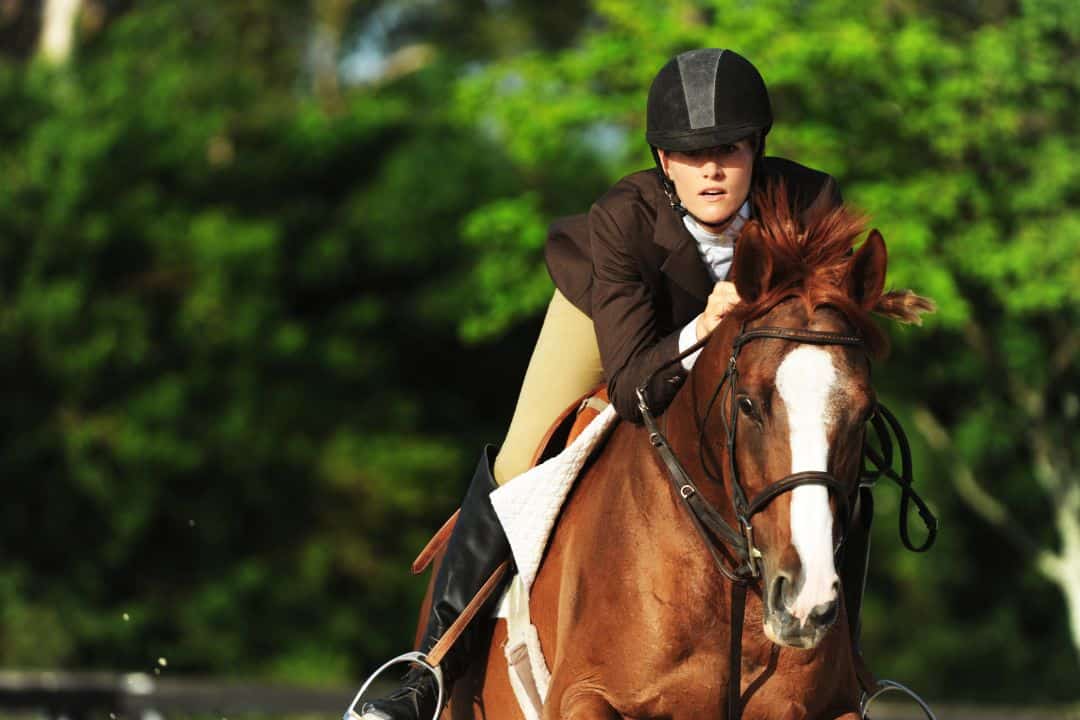 Horse Riding Classes for Adults