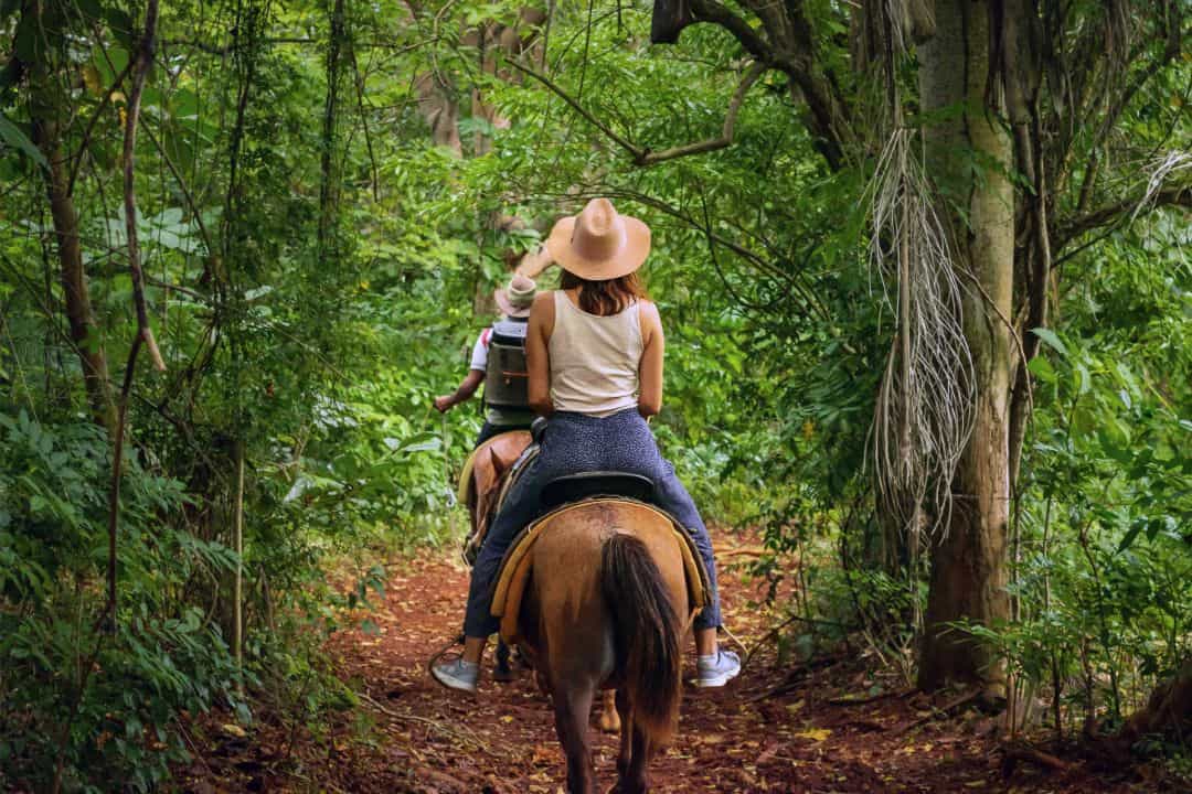 Horse Treks and Ride-Outs